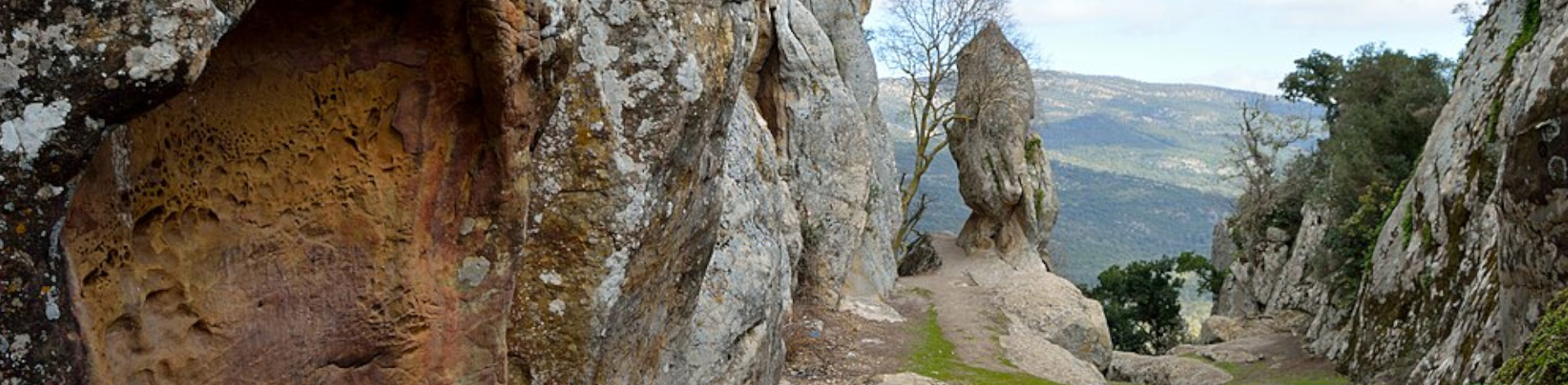 El Feija National Park: Tunisia's Verdant Sanctuary and a UNESCO Hopeful
