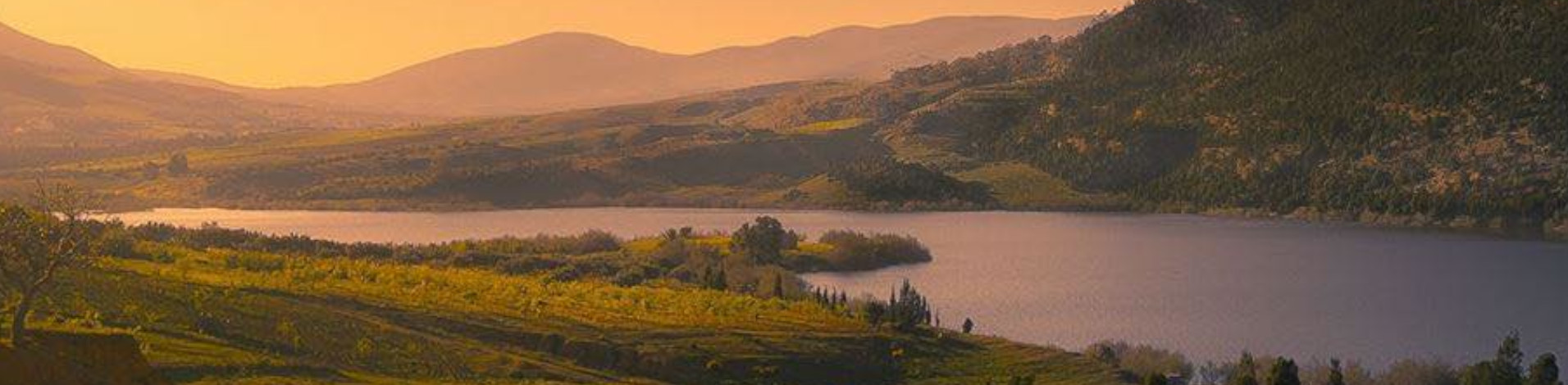 A Journey Through Tunisia's National Parks