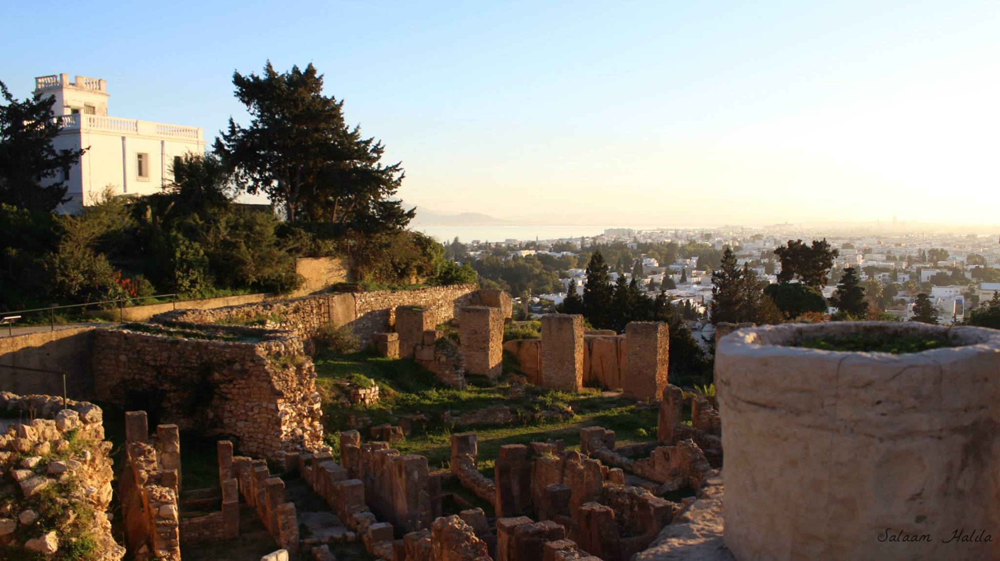 Carthage Ruins With a Touch of Nature © By Salaam Halila